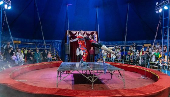 Цирк-шапито «София». Новогоднее шоу