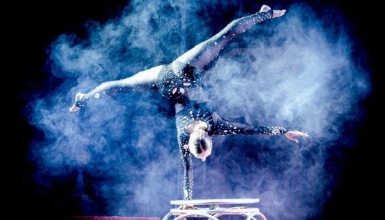 Цирк-шапито «Оптимус»