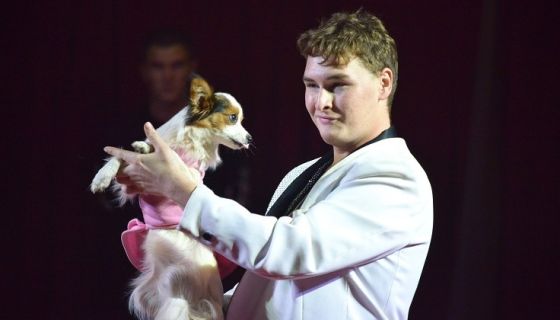 Цирк-шапито «Оптимус»